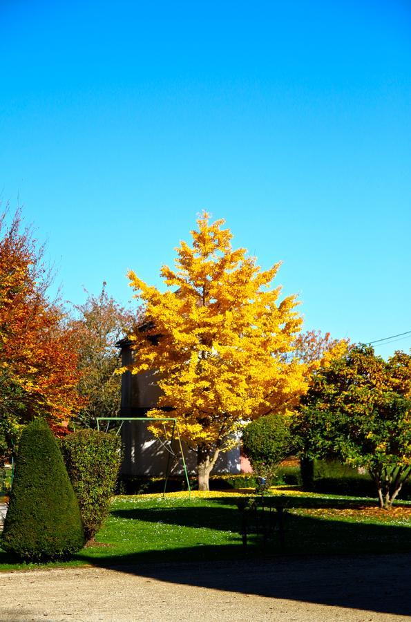 Château de Montabert Montaulin Exterior foto